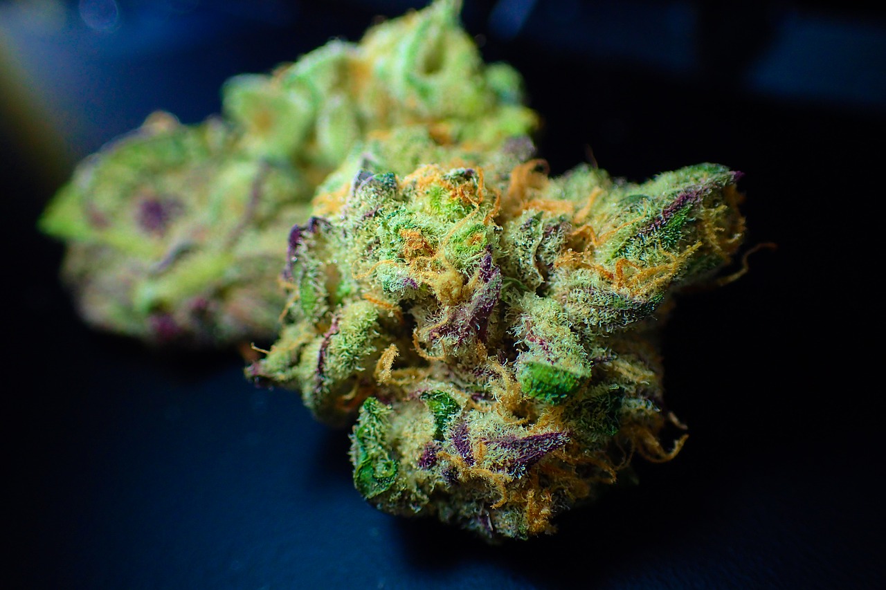 bud cannabis